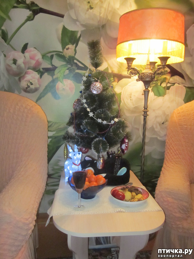 ���� 1: ���� ���������