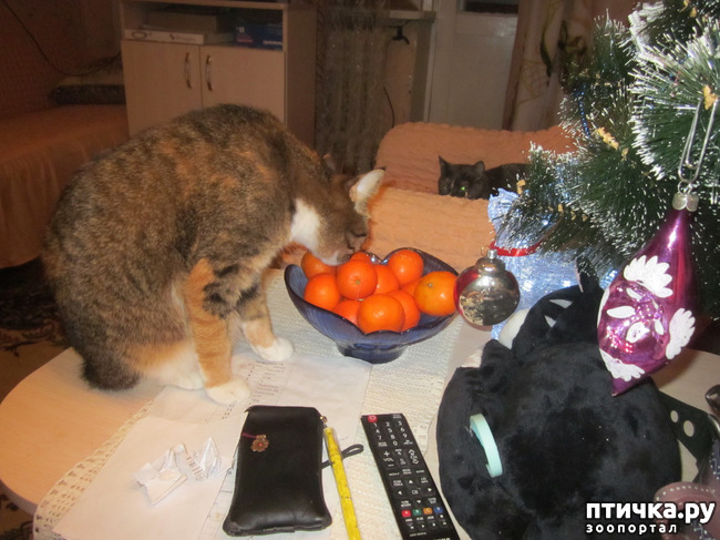 ���� 2: ���� ���������