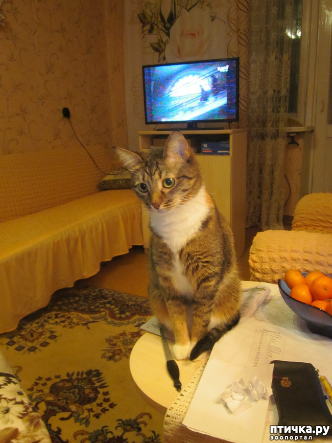 ���� 4: ���� ���������