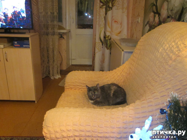 ���� 5: ���� ���������