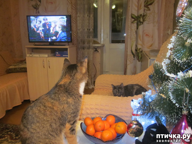 ���� 6: ���� ���������