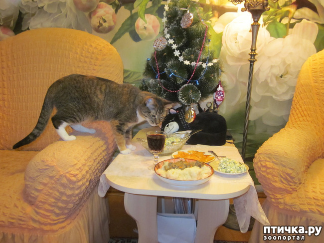 ���� 7: ���� ���������