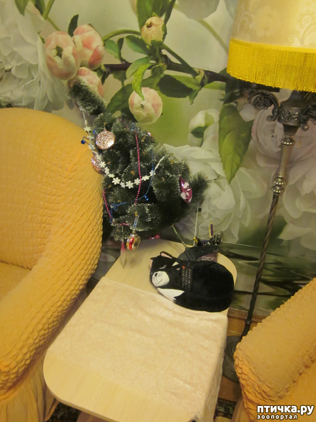 ���� 8: ���� ���������