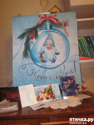 ����: ����������� �������