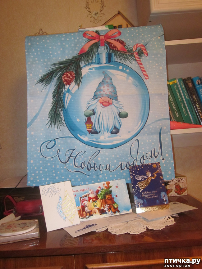 ���� 1: ����������� �������