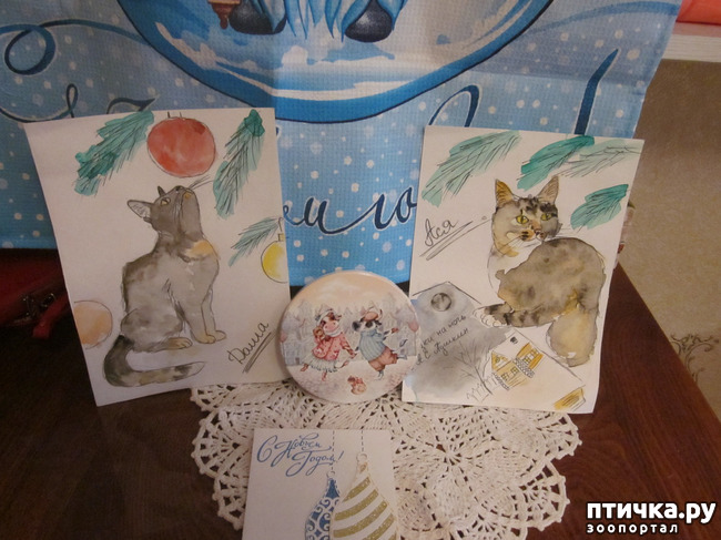 ���� 2: ����������� �������