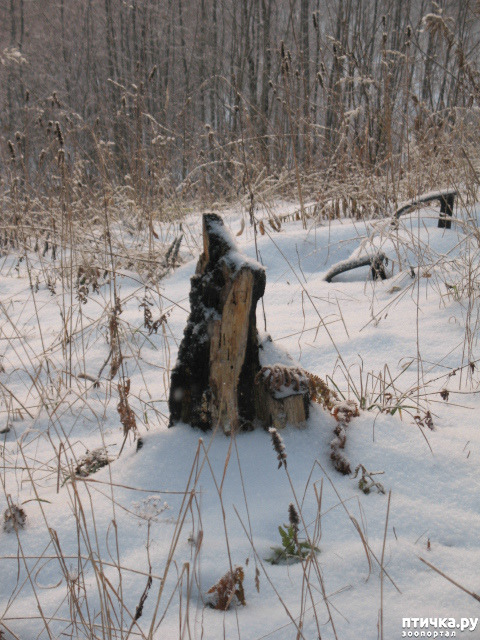 ���� 12: �������-����!