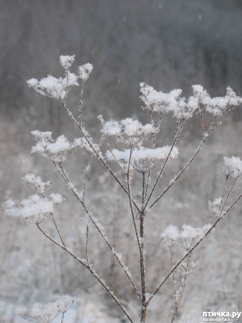 ���� 13: �������-����!