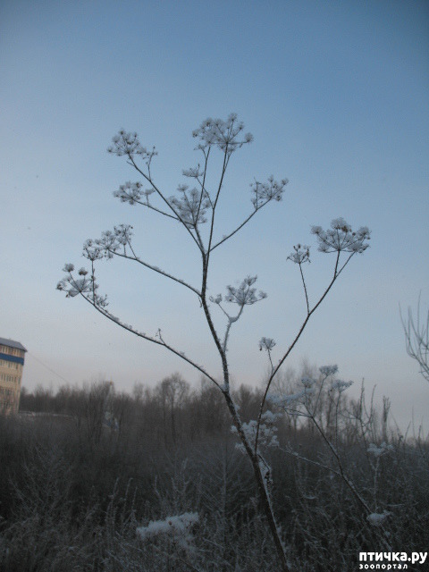 ���� 14: �������-����!