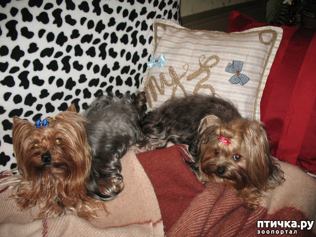 ���� 15: �������-����!