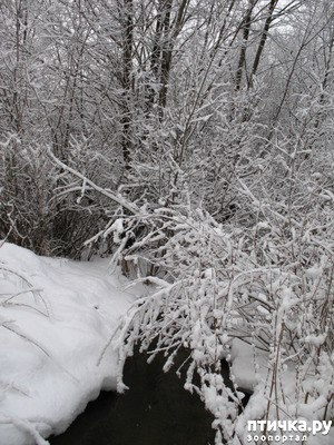 ����: �������-����!