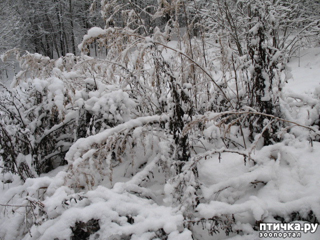 ���� 2: �������-����!