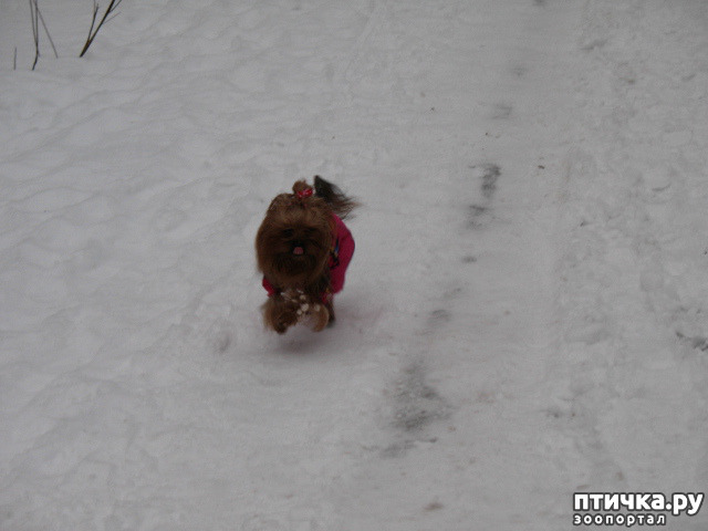 ���� 3: �������-����!