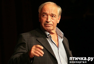 ����: �������� ����