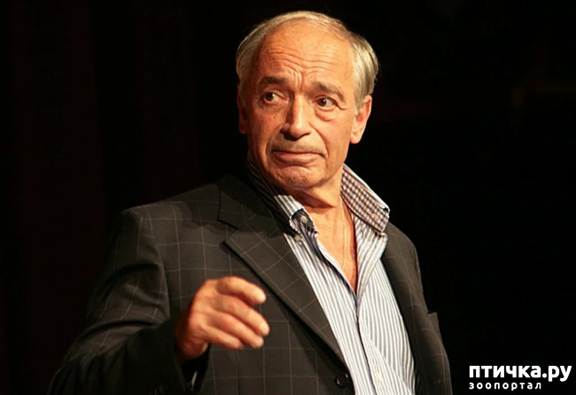 ���� 1: �������� ����