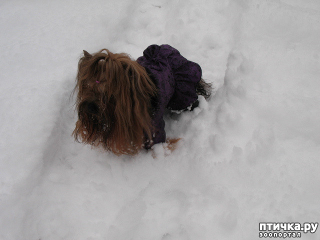 ���� 4: �������-����!