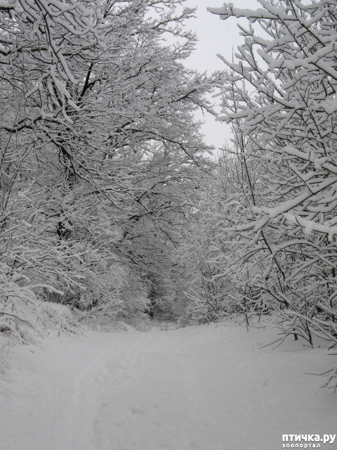 ���� 5: �������-����!