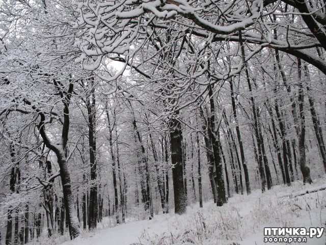 ���� 6: �������-����!