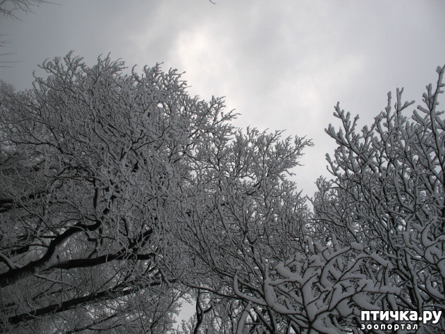 ���� 7: �������-����!