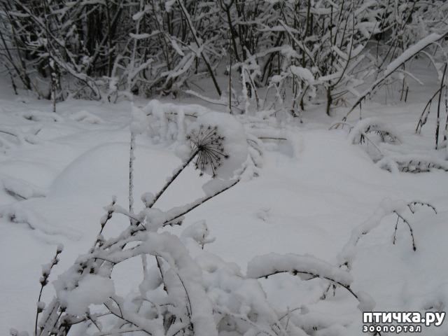 ���� 8: �������-����!