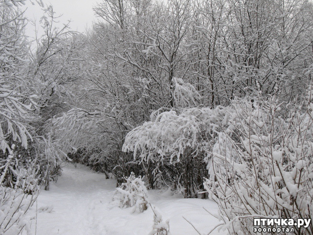 ���� 9: �������-����!