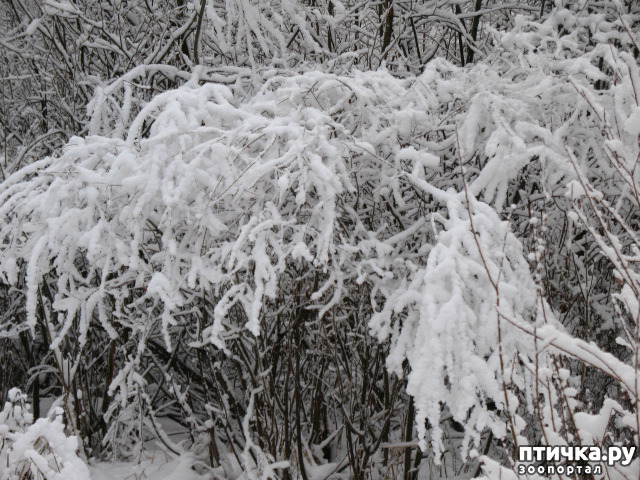 ���� 10: �������-����!