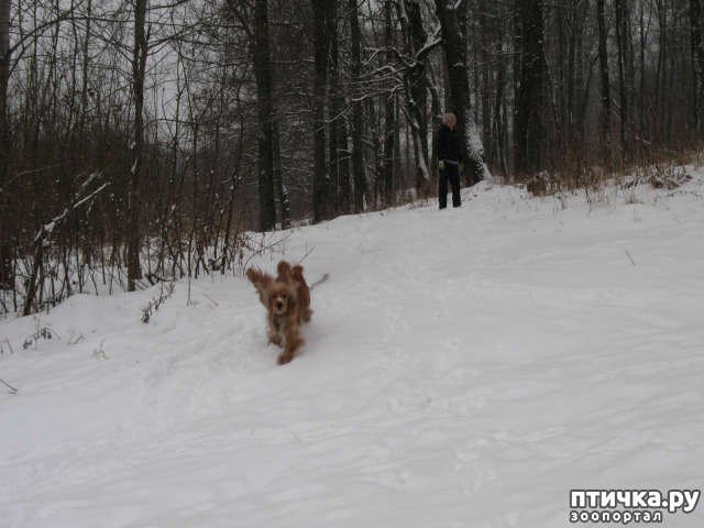 ���� 11: �������-����!