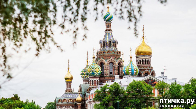 ���� 7: ������� ���������� 3