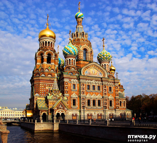 ���� 8: ������� ���������� 3