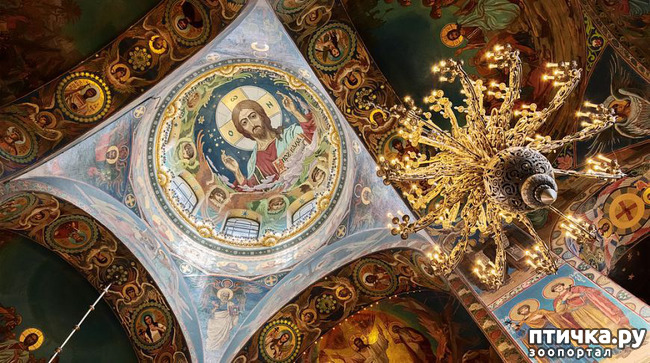 ���� 16: ������� ���������� 3