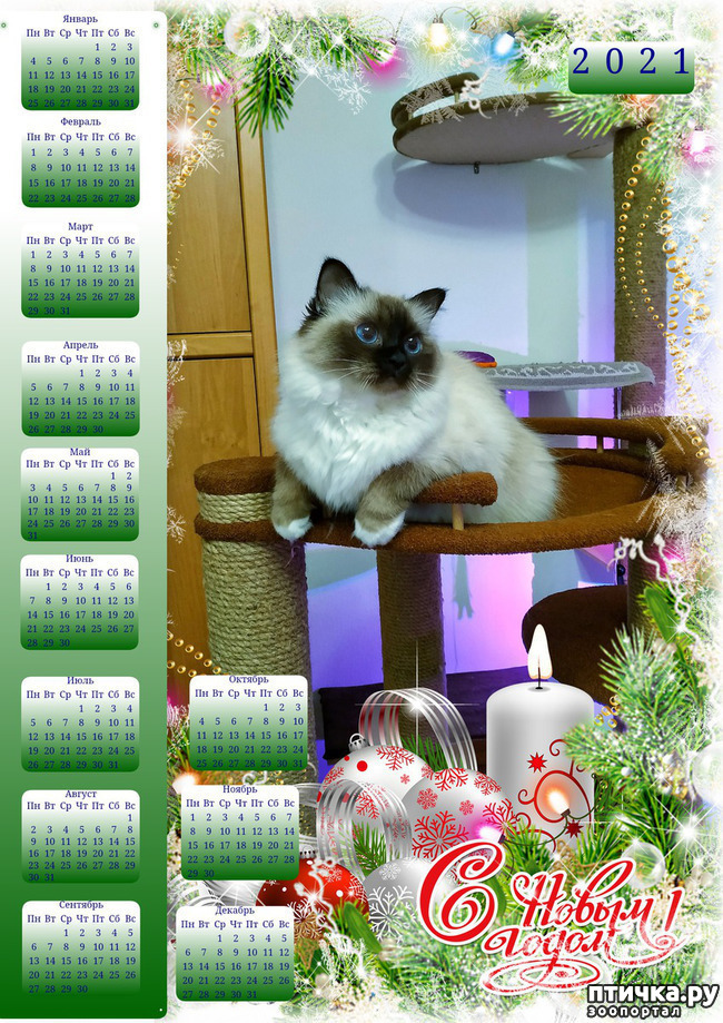 ���� 1: ��� ����� � 