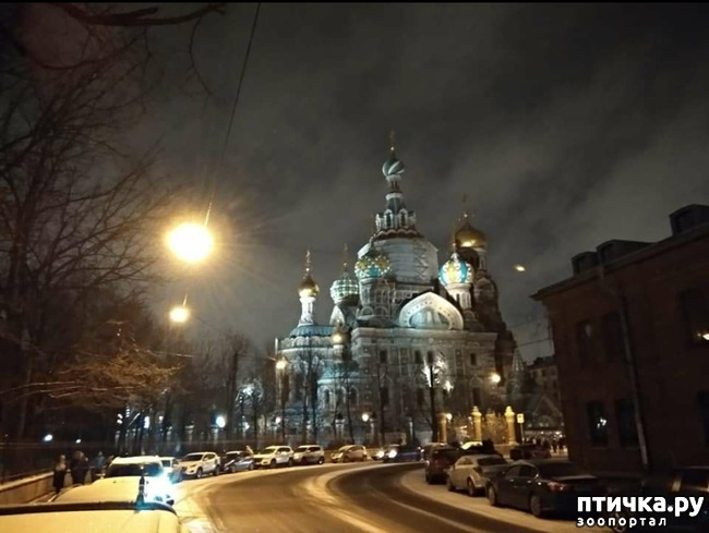 ���� 3: ������� ���������� 3