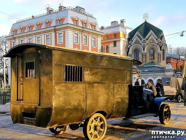 ���� 5: ������� ���������� 3