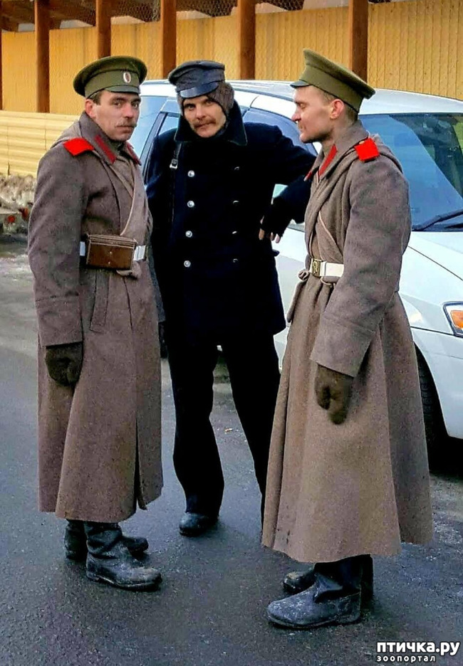 ���� 6: ������� ���������� 3