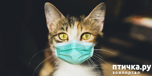 ����: ���������, ��������� ��� � ���, � �������! � � ��� ��������?