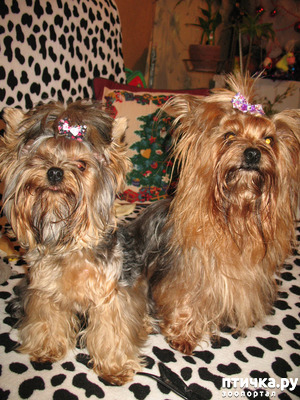 ����: ���������� ����� � ����������� ��������.