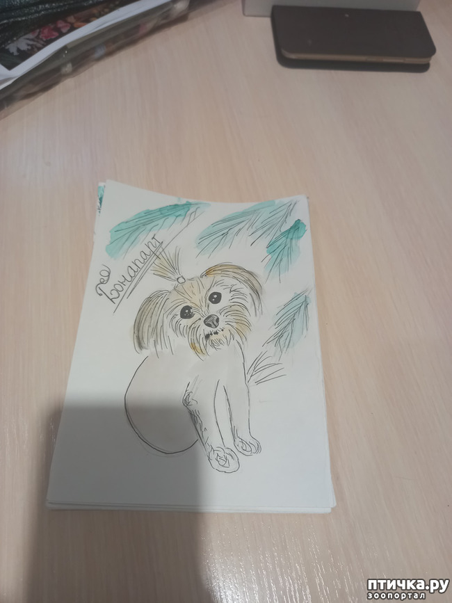 ���� 3: � ����� � ��������!)))