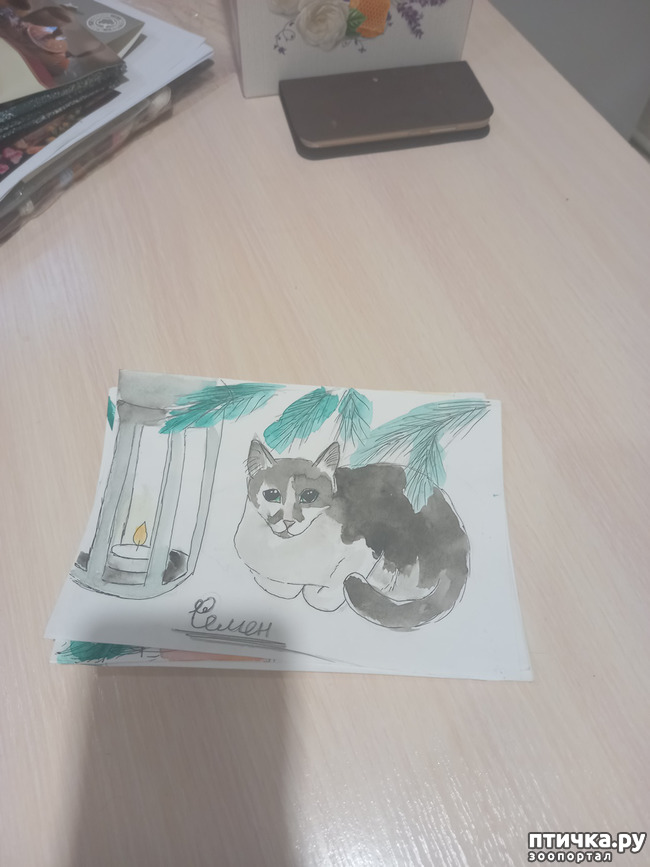 ���� 4: � ����� � ��������!)))