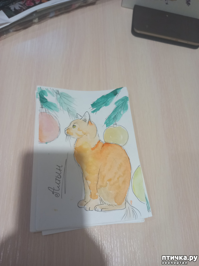 ���� 5: � ����� � ��������!)))