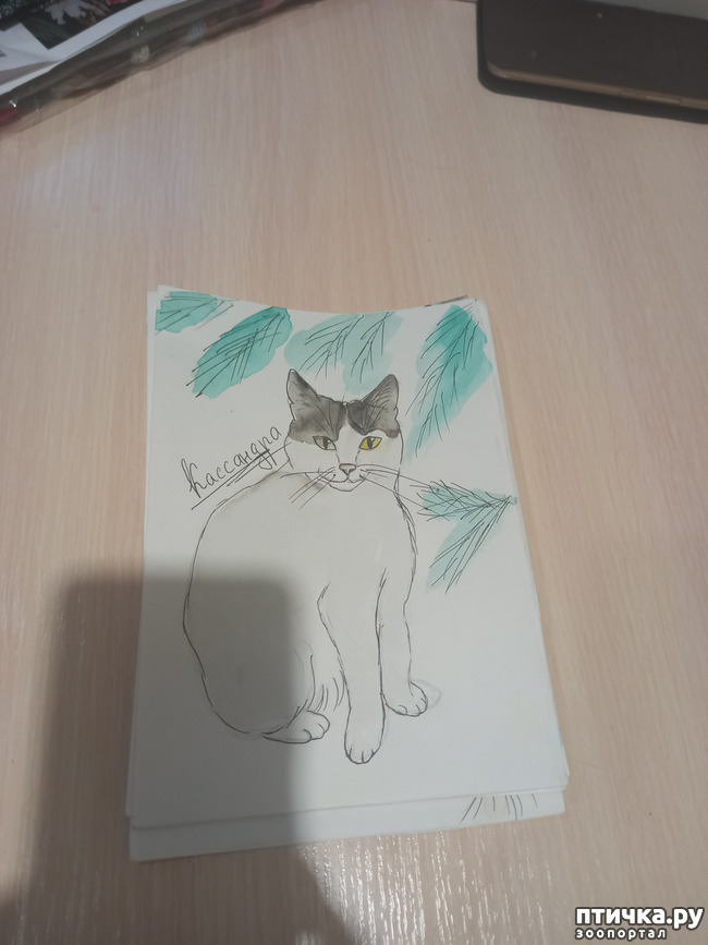 ���� 6: � ����� � ��������!)))