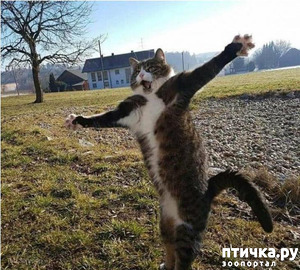 ����: ������ ���������� �����������