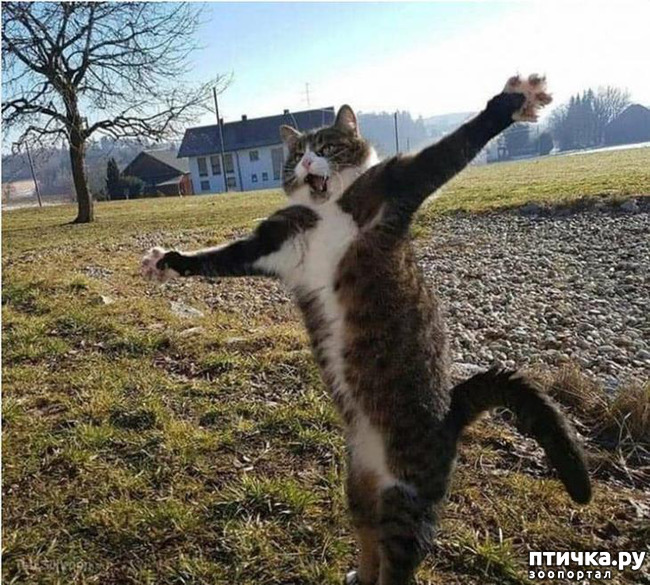 ���� 1: ������ ���������� �����������