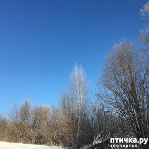 ����: � � ��� ������� ��������!!! �� �� �� ������!