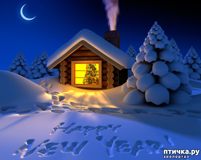 ���� 6: �� ������ ����� �����!