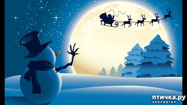 ���� 7: �� ������ ����� �����!