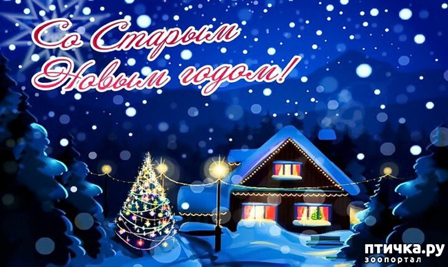 ���� 8: �� ������ ����� �����!