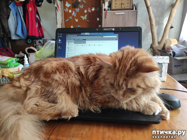 ���� 5: ������� ����)))