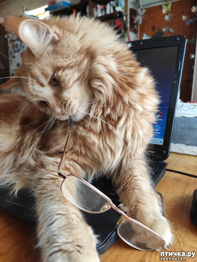 ���� 6: ������� ����)))