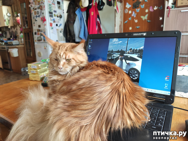 ���� 4: ������� ����)))