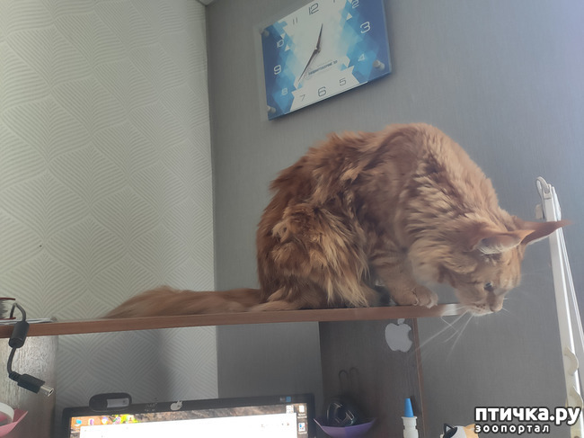 ���� 7: ������� ����)))